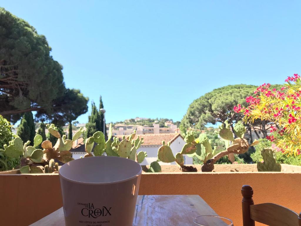Lovely 2 bedroom condo with pool 06220 Vallauris