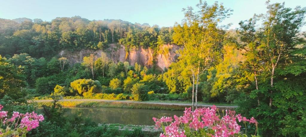 lovely apartment, gite, visit the vosges france 15B Rue du 8 Mai, 88240 Montmotier