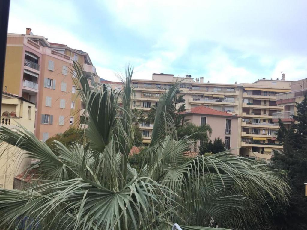 Appartement Lovely Apartment in Mention French Riviera 24B Avenue Cochrane 06500 Menton