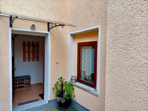 Lovely Apartment in Saxony with Terrace and Barbecue