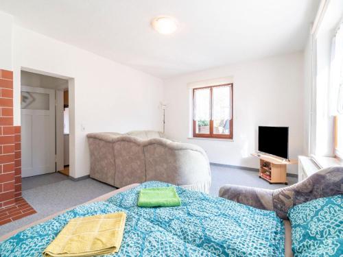 Lovely Apartment in Saxony with Terrace and Barbecue