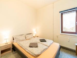 Lovely Apartment in Saxony with Terrace and Barbecue