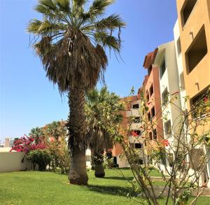 Lovely Beach Apartment Bellavista