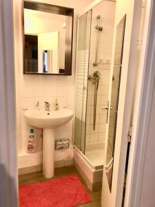 LOVELY DUPLEX in the center of FONTAINEBLEAU