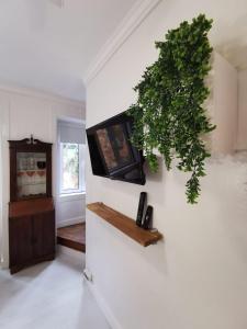 Lovely Small Loft in Alfama near Castelo S Jorge