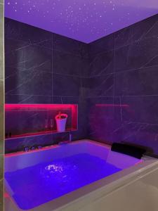 Appartement Loving room cocooning avec jacuzzi « la terre » 15 Rue Claude Joseph Bonnet 01640 Jujurieux Rhône-Alpes
