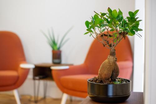 Low Cost Parking - Private Garden - Almada 392