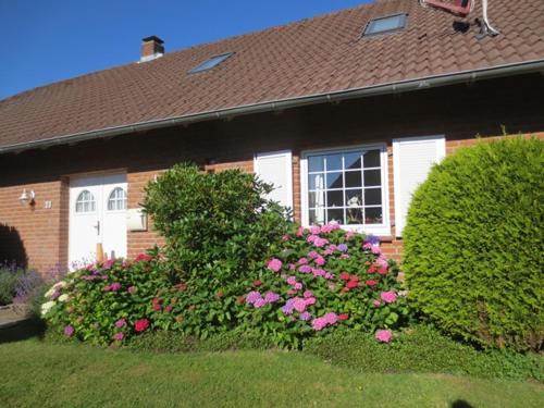 Luft und Meer 4**** Ferienwohnung