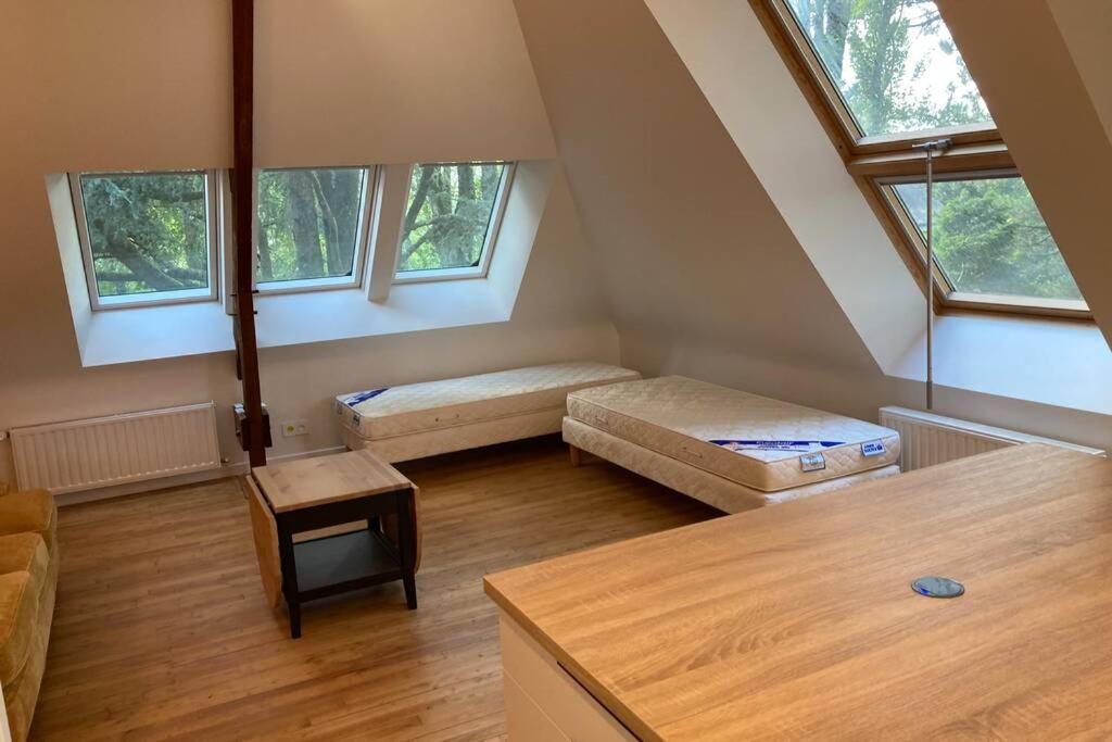 Lumineux appartement au milieu des arbres 57 Rue de Saint-Armel, 56100 Lorient