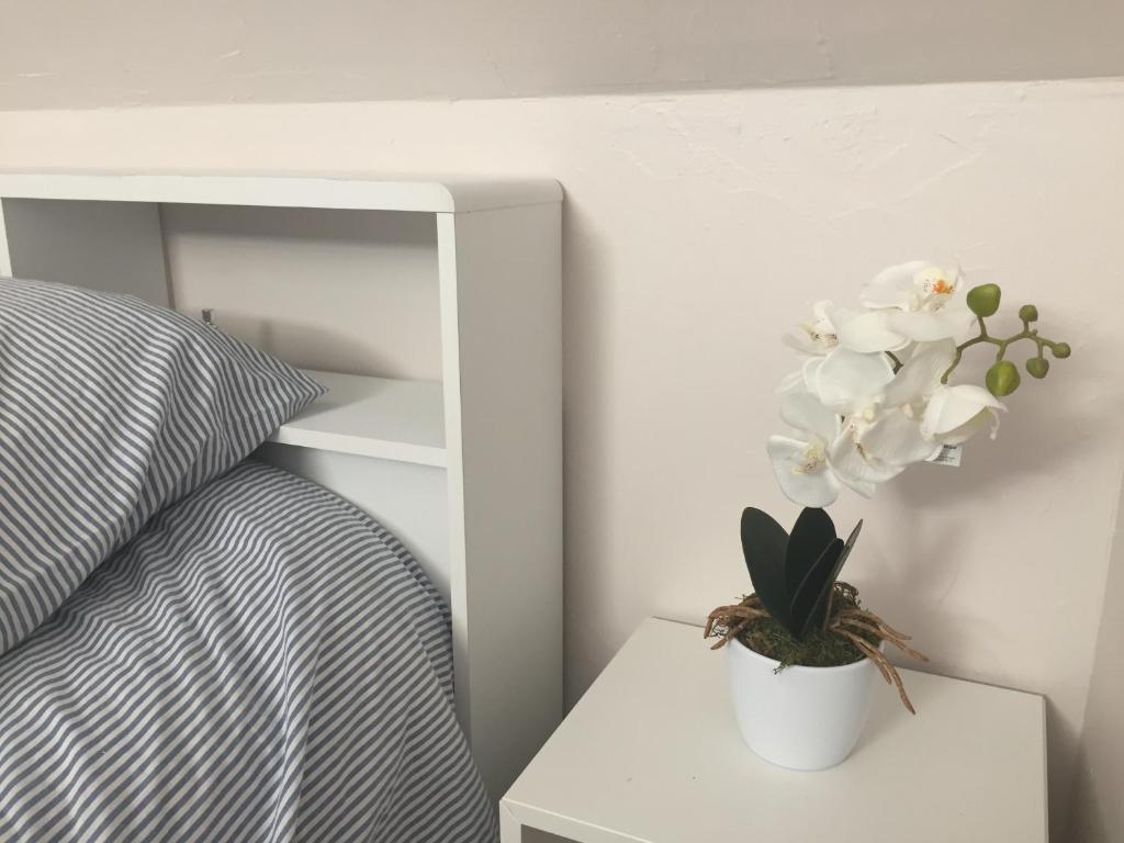 Appartement Lumineux T2 Vieille ville 3pers parking gratuit - by La Source d'OrFée 1 Rue du Cloître 62200 Boulogne-sur-Mer