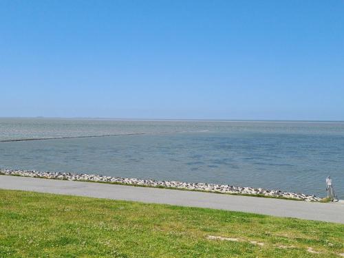 Lütt Moor
