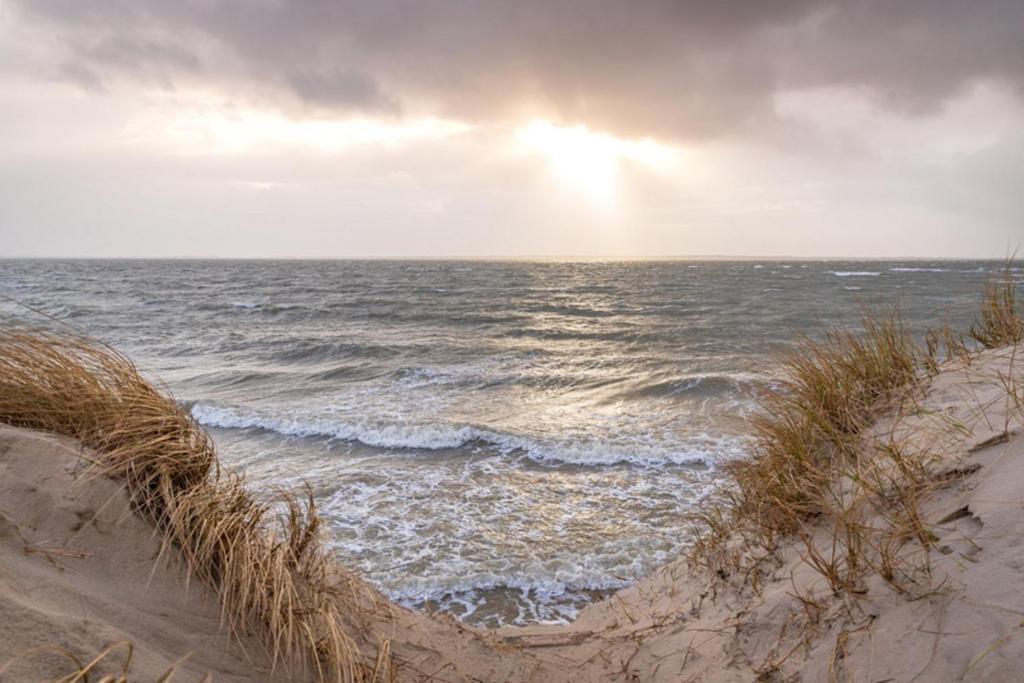 Lütt Nest Föhr 3 Lütje Klint, 25938 Alkersum