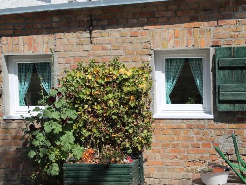 Luxurious Apartment in Damgarten with Garden