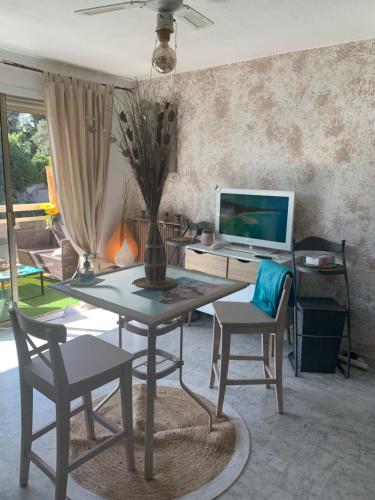 Luxurious Studio in Cannes 450m from sea with Terrace and private Parking