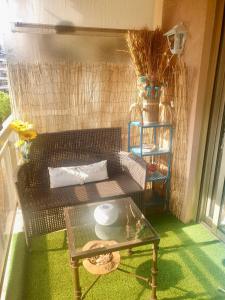 Luxurious Studio in Cannes 450m from sea with Terrace and private Parking