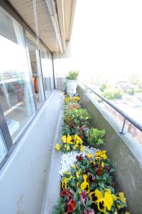 Luxury apartment near trade fair