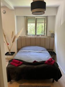Luxury appartment