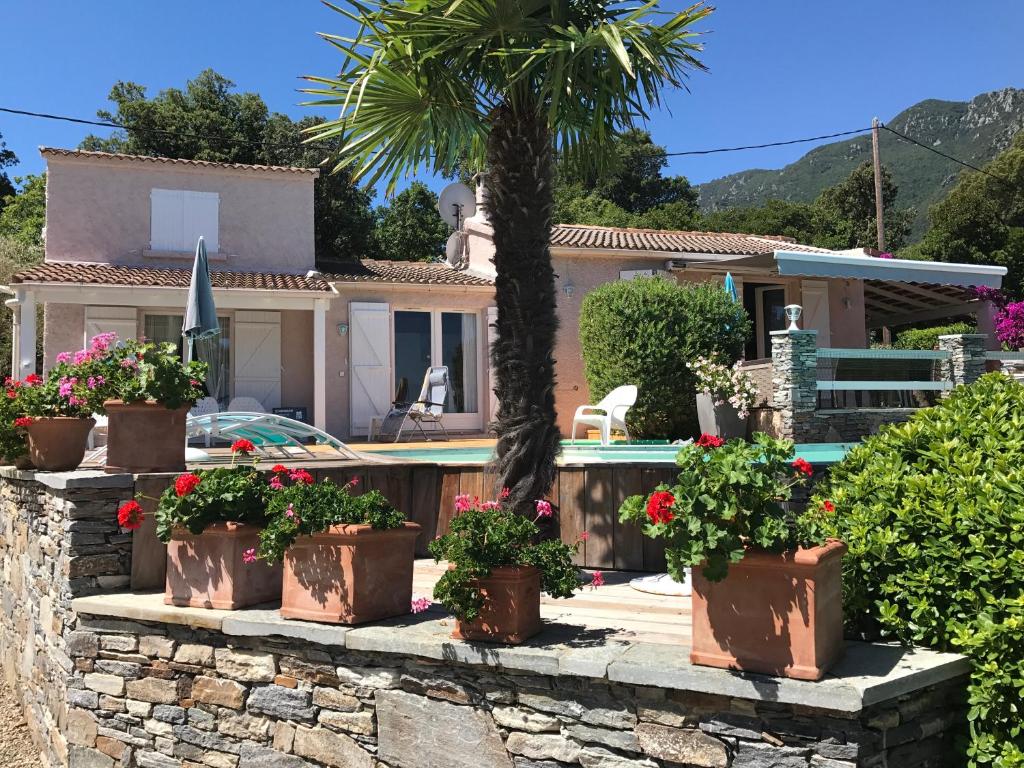 Luxury Colina Park