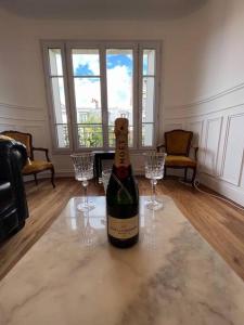 Luxury parisian apartment