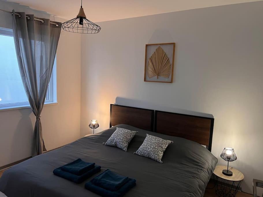 Luxury room (Les Vergers II) 15 Rue de l'Abbé Ernest Krebs, 57200 Sarreguemines