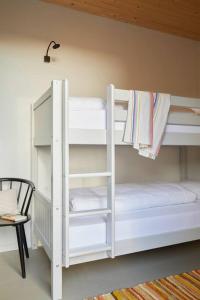Luxus Loft-Apartment mit Dachterrasse und Kamin (Apartment 18)