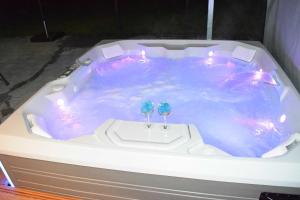 Luxus_SPA_EG_Fewo AQUAMARIN _WE 1_