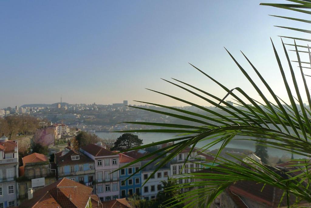 Appartement LV Premier Apartments Clerigos- RE1 Rua da Restauracao 477, 6th floor 4050-000 Porto