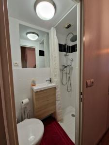 Lyon centre appartement meublé