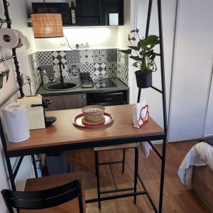 Lyon Montchat Villeurbanne Studio refait à neuf climatisé et parking privé