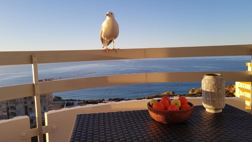 Ma vue mer en Algarve Rua dos Três Castelos Torre Verde apt 1510, 8500-510 Portimão