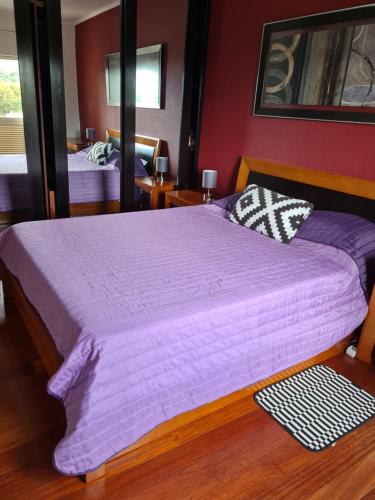 Machico Beach Comfort