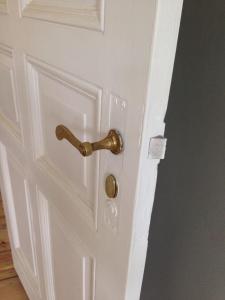 Magnificent turn of century flat (legal)
