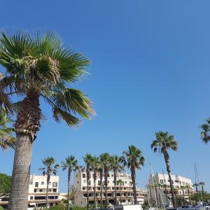 Appartement Magnifique 2 pièces vue port et mer Boulevard des Marines 83310 Cogolin Provence-Alpes-Côte d\'Azur