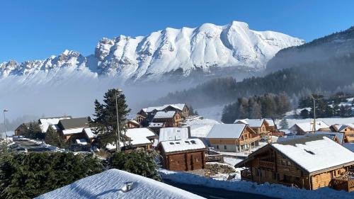 Magnifique appartement à la Joue du Loup