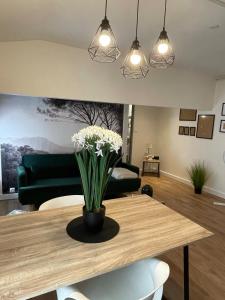 Magnifique appartement au cœur de la ville