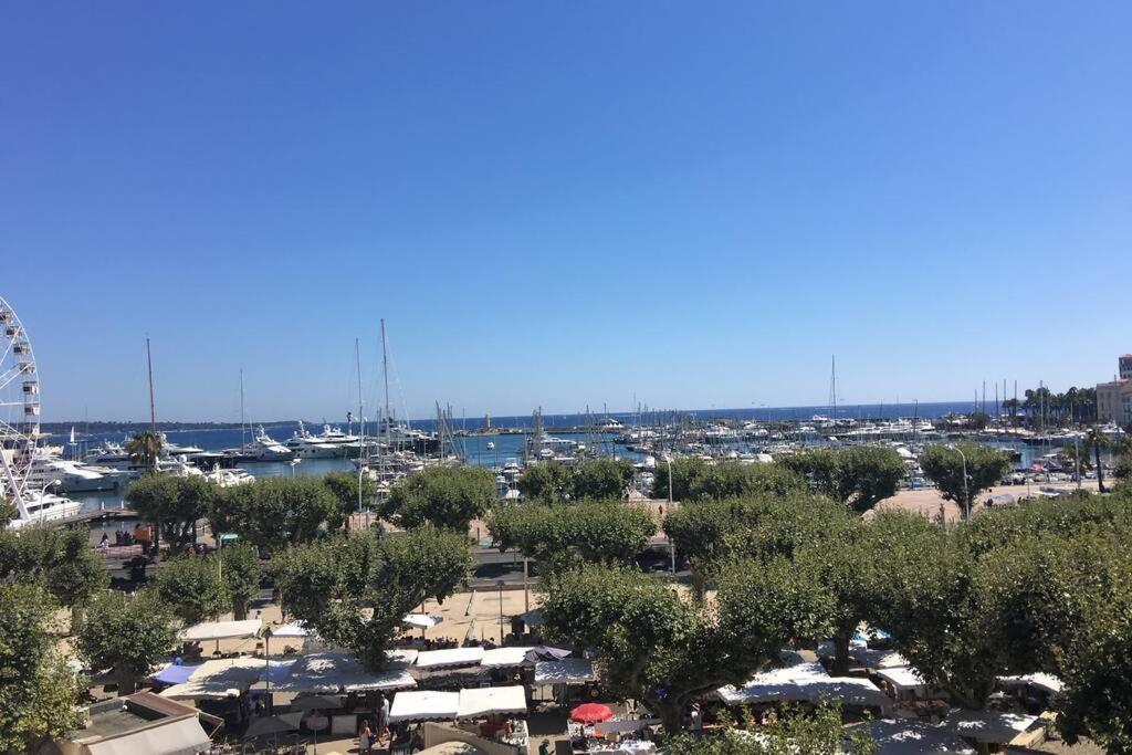 Appartement Magnifique appartement avec vue mer 55 Rue Félix Faure 06400 Cannes