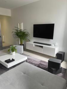 MAGNIFIQUE APPARTEMENT DE STANDING PLEIN CENTRE