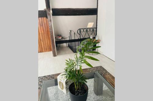 Magnifique appartement en plein cœur centre ville