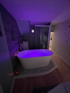 Magnifique appartement le Cottage Relax Balnéo