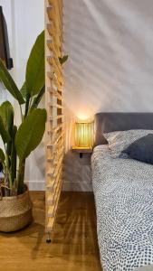 Magnifique appartement rénové plein centre-ville