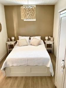 Magnifique appartement rénové