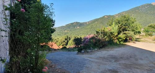 Magnifique bas de villa
