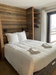 Magnifique chalet sur les pistes, le Paradis c'est là!