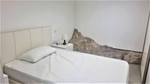 Magnifique Loft Cannes