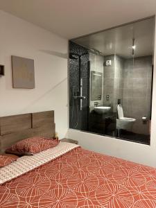 Magnifique Loft - Hyper Centre