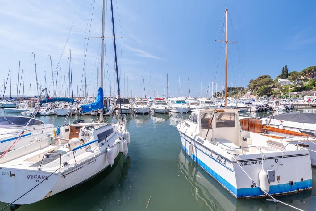 Appartement Magnifique studio avec TERRASSE- PROCHE DE LA MER! 3 Allée du Hunier 83320 Carqueiranne