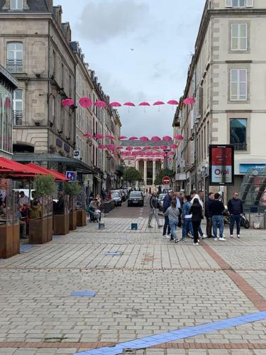 Magnifique studio - en hypercentre et rue piétonne