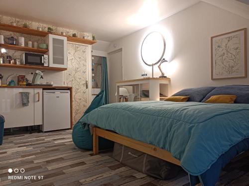Magnifique Studio Wifi Tout confort, Tous consommables Centre ville Parking privé Cour