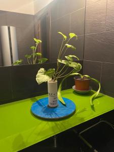 Magnifique T4 DUPLEX IDAY ONA