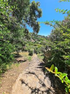 Appartement Maison avec terrasse vue mer à quelques marches de la Fossette Chemin du Four des Maures 83980 Le Lavandou Provence-Alpes-Côte d\'Azur